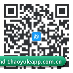Android 原生极速版 二维码